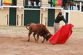 Jornada ao toureio na Catalunha