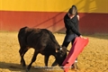 Imagens da tenta de Nuno Casquinha na ganadaria de Rio Grande de D.Rufino Calero, em Badajoz .
